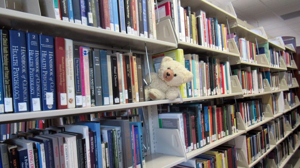 Ambyr Noelle buried in the book stacks at the University of Nevada, Reno (UNR) library