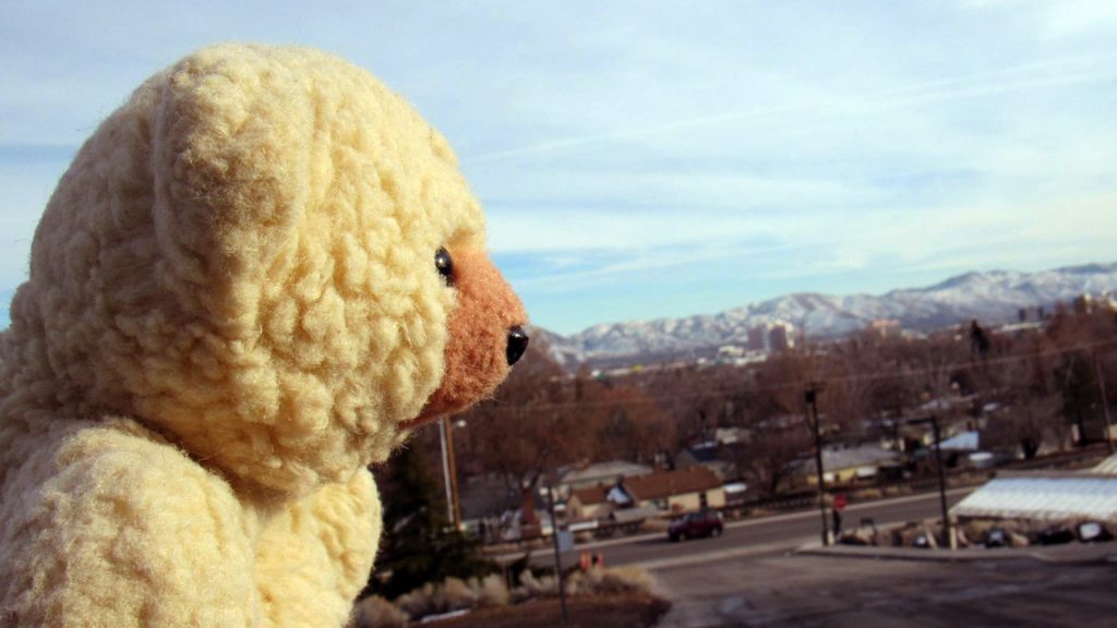 Ambyr Noelle viewing the Reno skyline