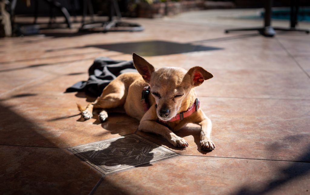 Tiki Brown on the veranda at Runaway University, Los Angeles