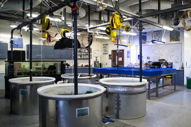 tanks, hidden deep underneath Long Beach State University