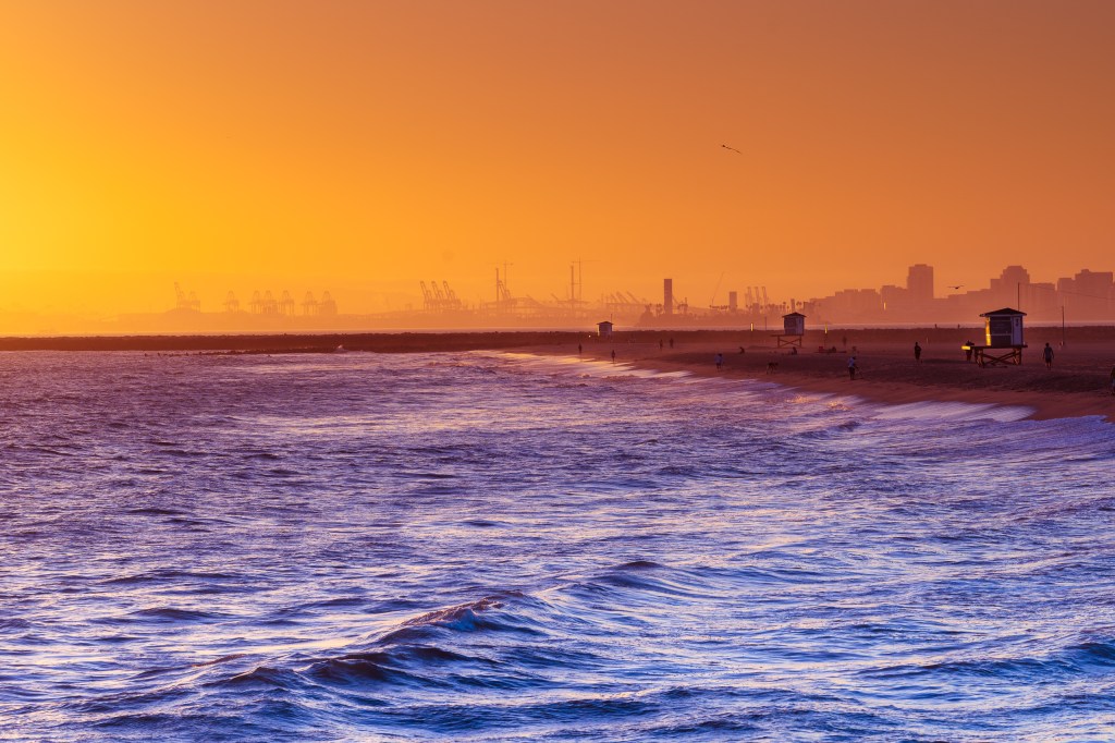 students creating plaster casting projects in the sand at the Seal Beach Pier