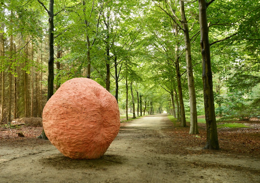 Summer ’22 – Week&nbsp;2