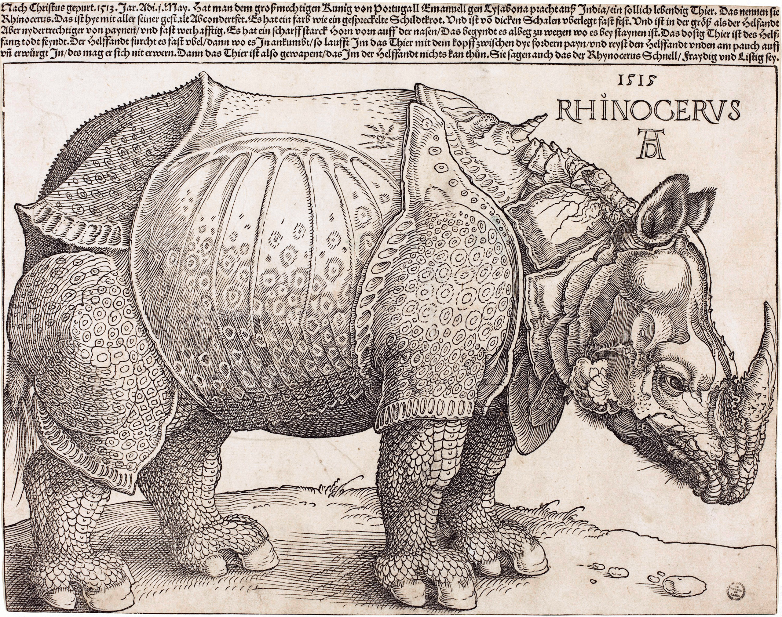 Albrecht Durer, Durer's Rhinoceros, woodcut, 1515