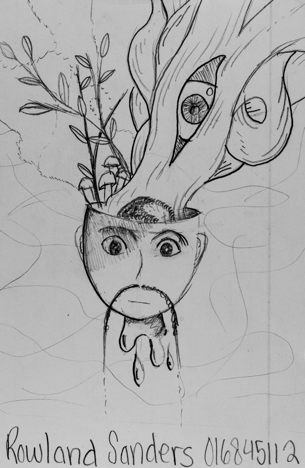 Herbert: Expand your&nbsp;mind